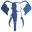Elephant Angola
